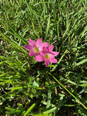 9221 Broad Manor Rd, Miami, FL 33147