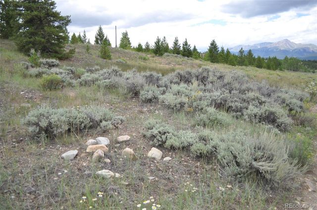 5697 Highway 24, Leadville, CO 80461