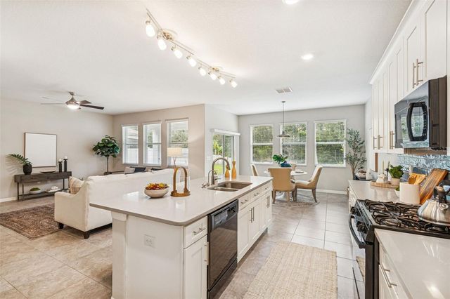 21462 WISTFUL YEARN DRIVE, Land O Lakes, FL 34637