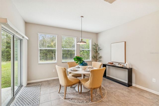 21462 WISTFUL YEARN DRIVE, Land O Lakes, FL 34637