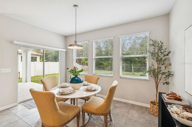 21462 WISTFUL YEARN DRIVE, Land O Lakes, FL 34637