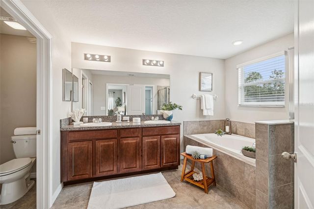 21462 WISTFUL YEARN DRIVE, Land O Lakes, FL 34637