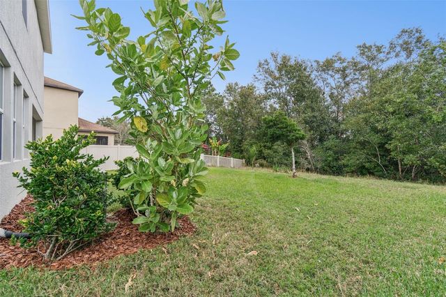 21462 WISTFUL YEARN DRIVE, Land O Lakes, FL 34637