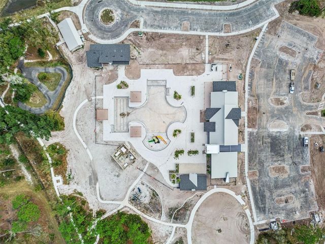 21462 WISTFUL YEARN DRIVE, Land O Lakes, FL 34637