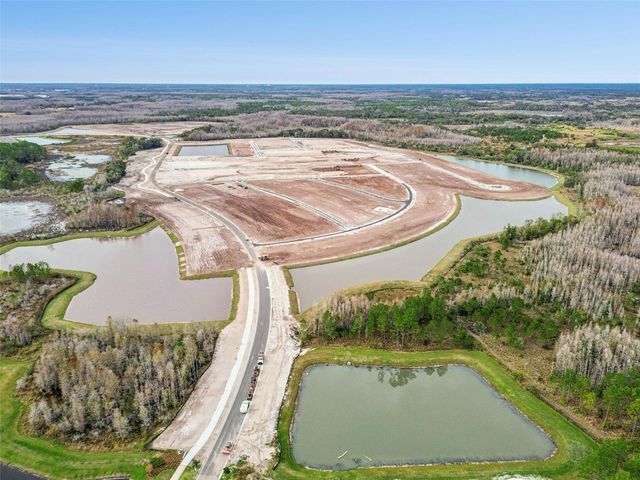 21462 WISTFUL YEARN DRIVE, Land O Lakes, FL 34637