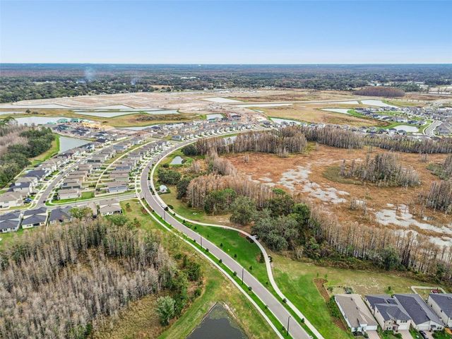 21462 WISTFUL YEARN DRIVE, Land O Lakes, FL 34637