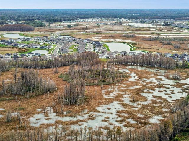 21462 WISTFUL YEARN DRIVE, Land O Lakes, FL 34637