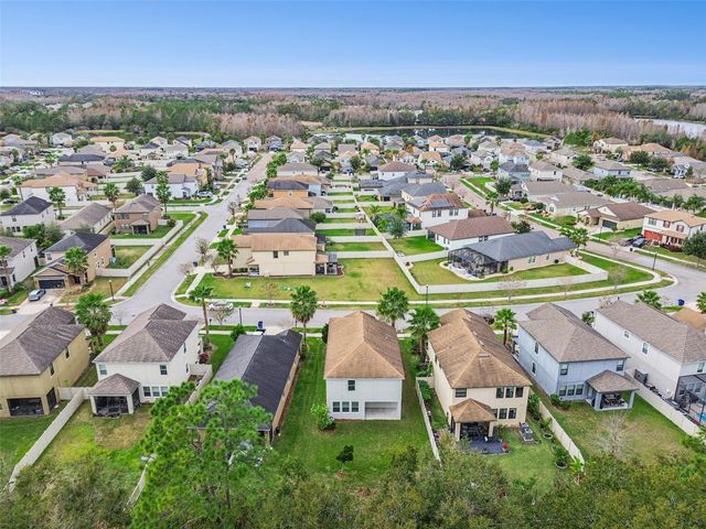 21462 WISTFUL YEARN DRIVE, Land O Lakes, FL 34637