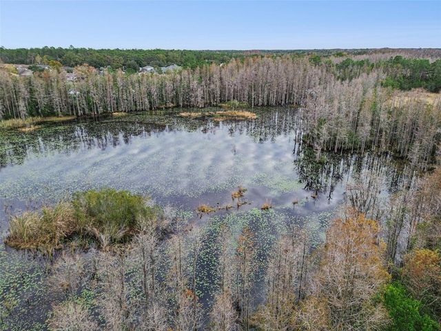 21462 WISTFUL YEARN DRIVE, Land O Lakes, FL 34637