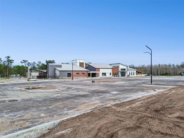 21462 WISTFUL YEARN DRIVE, Land O Lakes, FL 34637