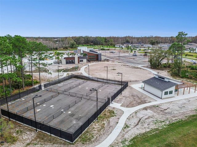 21462 WISTFUL YEARN DRIVE, Land O Lakes, FL 34637