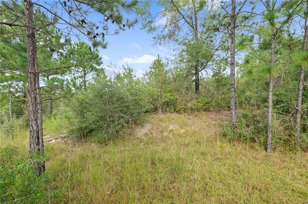 0 Powell Road, Semmes, AL 36575 — photo 3
