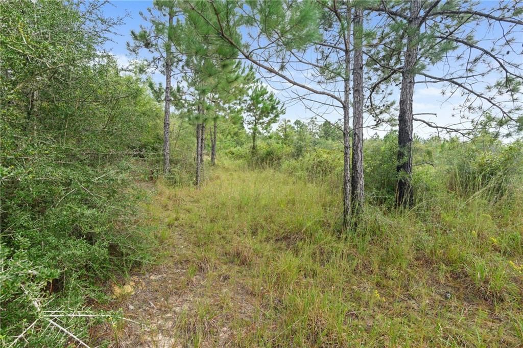 0 Powell Road, Semmes, AL 36575 — photo 5