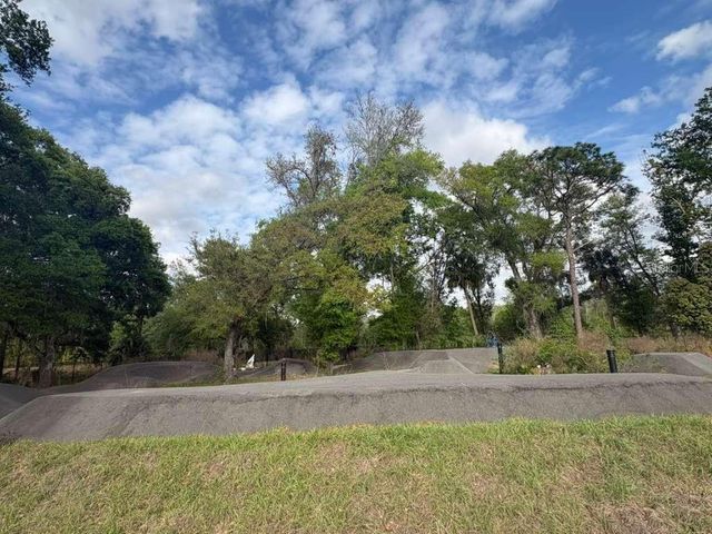 21834 ADRIATIC LANE, Land O Lakes, FL 34637