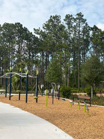 21834 ADRIATIC LANE, Land O Lakes, FL 34637