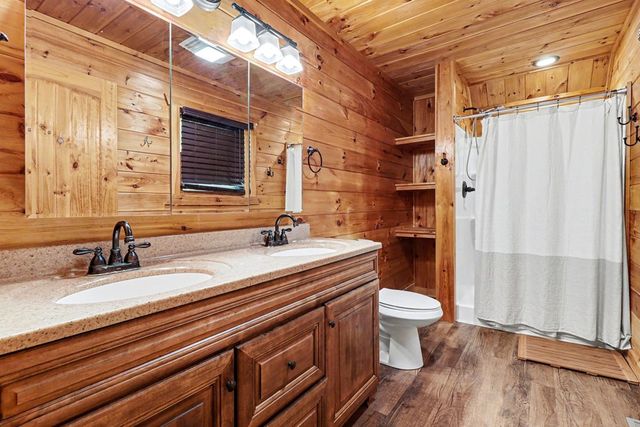 55 Hallee Drive, Mineral Bluff, GA 30559
