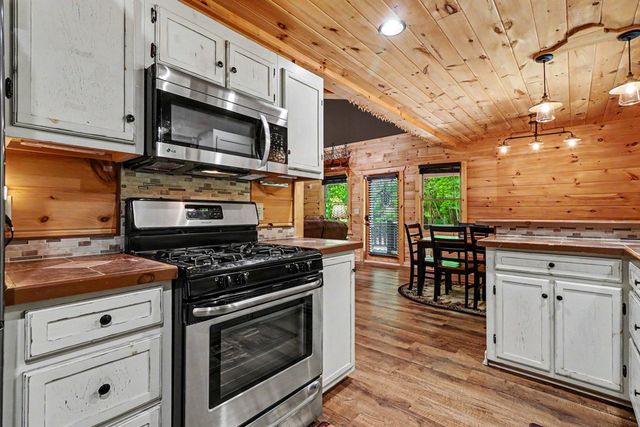 55 Hallee Drive, Mineral Bluff, GA 30559
