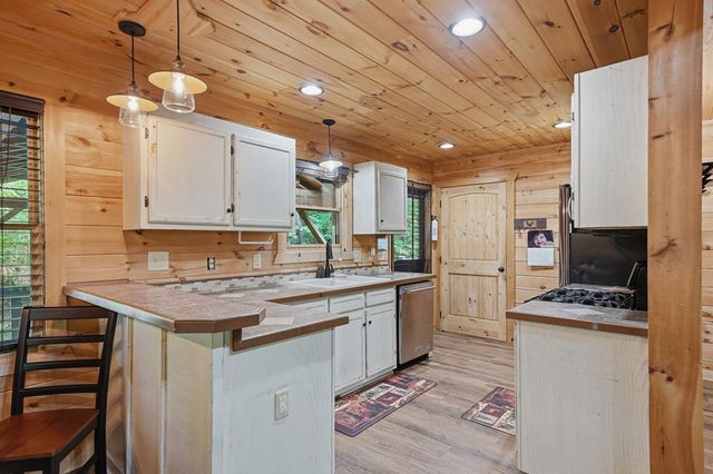 55 Hallee Drive, Mineral Bluff, GA 30559