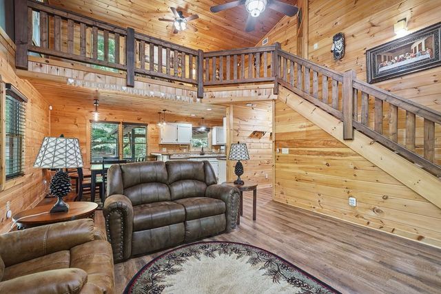 55 Hallee Drive, Mineral Bluff, GA 30559