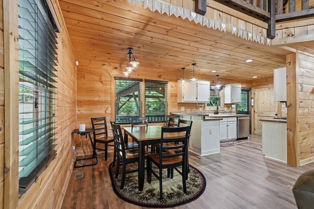 55 Hallee Drive, Mineral Bluff, GA 30559