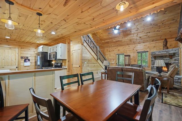 55 Hallee Drive, Mineral Bluff, GA 30559