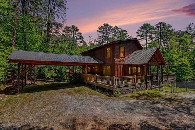 55 Hallee Drive, Mineral Bluff, GA 30559