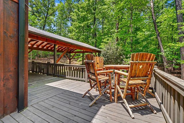 55 Hallee Drive, Mineral Bluff, GA 30559