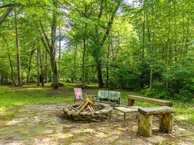 55 Hallee Drive, Mineral Bluff, GA 30559