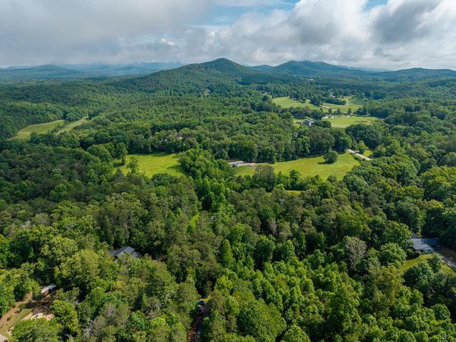 55 Hallee Drive, Mineral Bluff, GA 30559