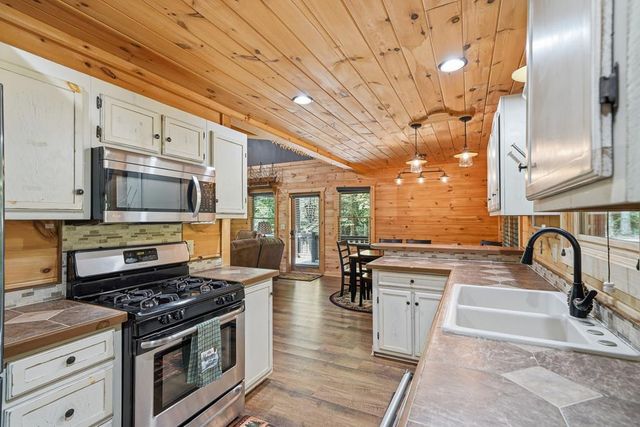 55 Hallee Drive, Mineral Bluff, GA 30559