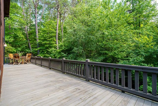 55 Hallee Drive, Mineral Bluff, GA 30559