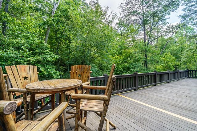 55 Hallee Drive, Mineral Bluff, GA 30559