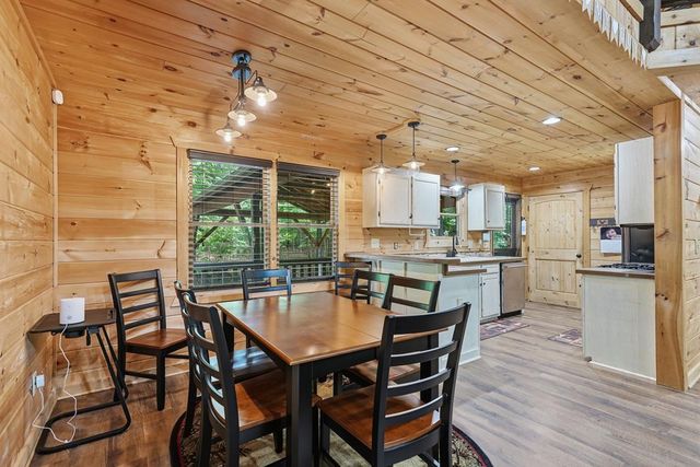 55 Hallee Drive, Mineral Bluff, GA 30559