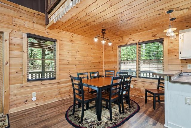 55 Hallee Drive, Mineral Bluff, GA 30559