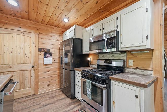 55 Hallee Drive, Mineral Bluff, GA 30559