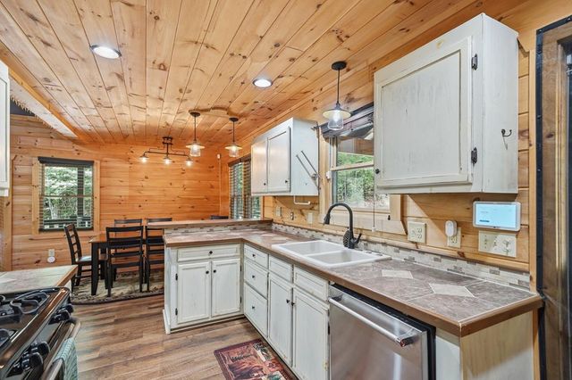55 Hallee Drive, Mineral Bluff, GA 30559