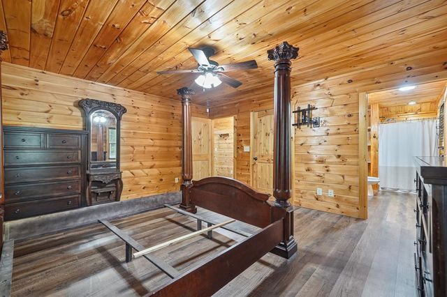 55 Hallee Drive, Mineral Bluff, GA 30559