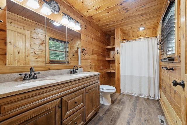 55 Hallee Drive, Mineral Bluff, GA 30559