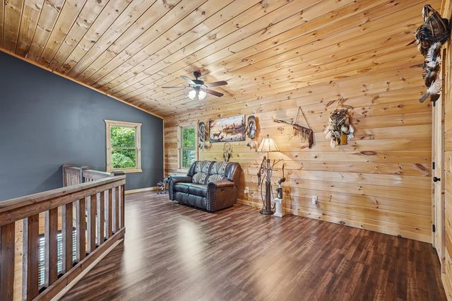 55 Hallee Drive, Mineral Bluff, GA 30559
