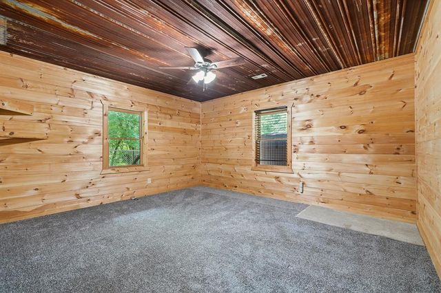 55 Hallee Drive, Mineral Bluff, GA 30559