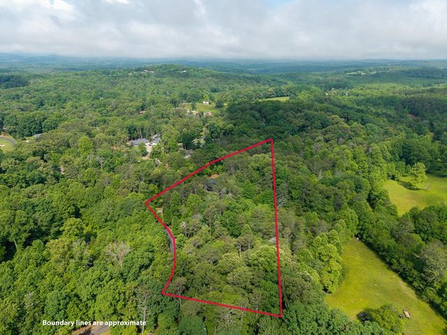 55 Hallee Drive, Mineral Bluff, GA 30559