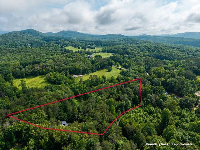 55 Hallee Drive, Mineral Bluff, GA 30559
