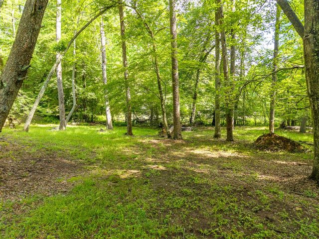 55 Hallee Drive, Mineral Bluff, GA 30559
