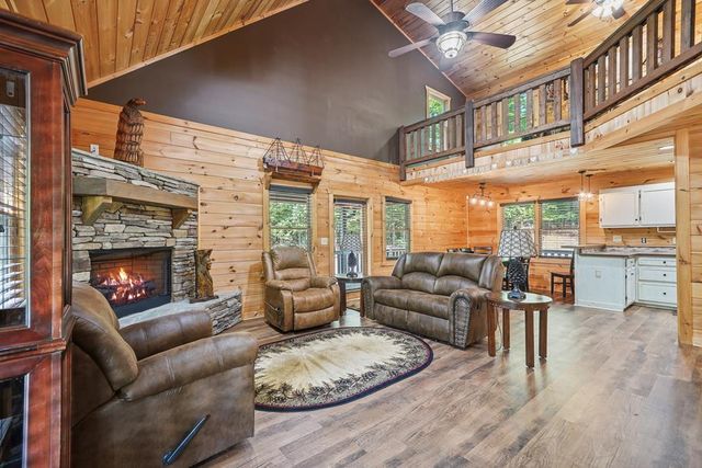 55 Hallee Drive, Mineral Bluff, GA 30559