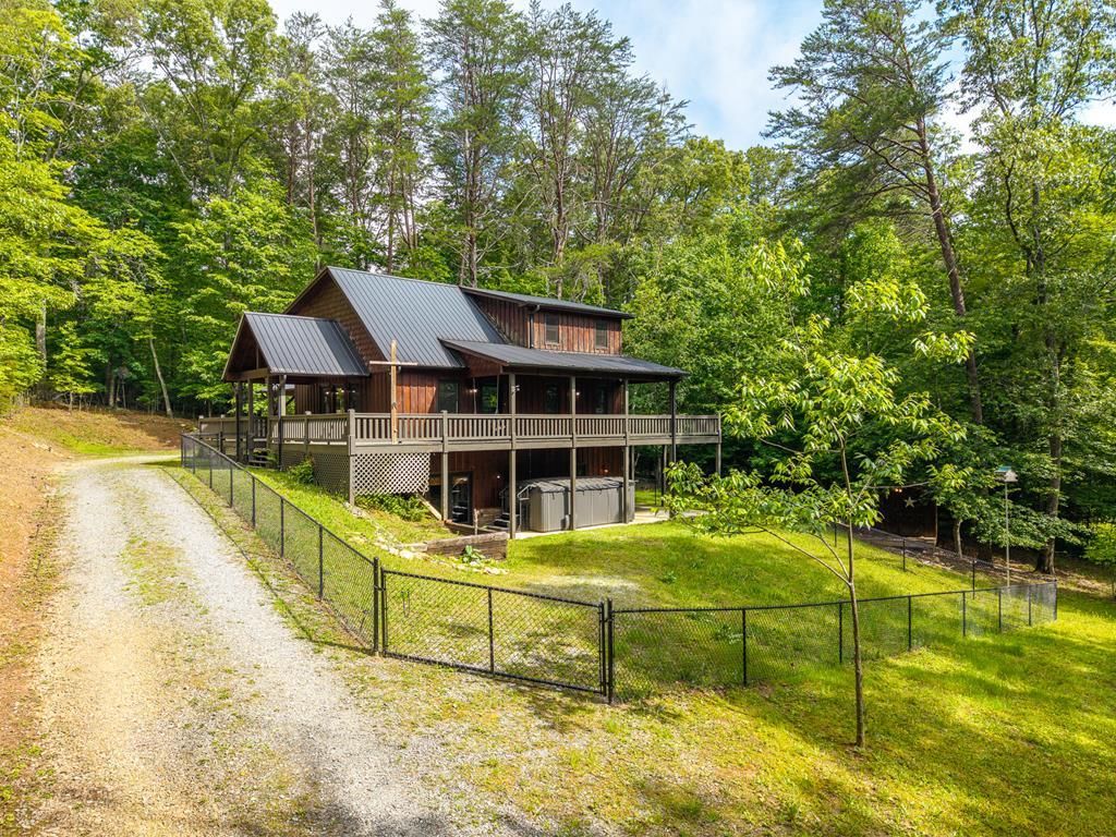 55 Hallee Drive, Mineral Bluff, GA 30559