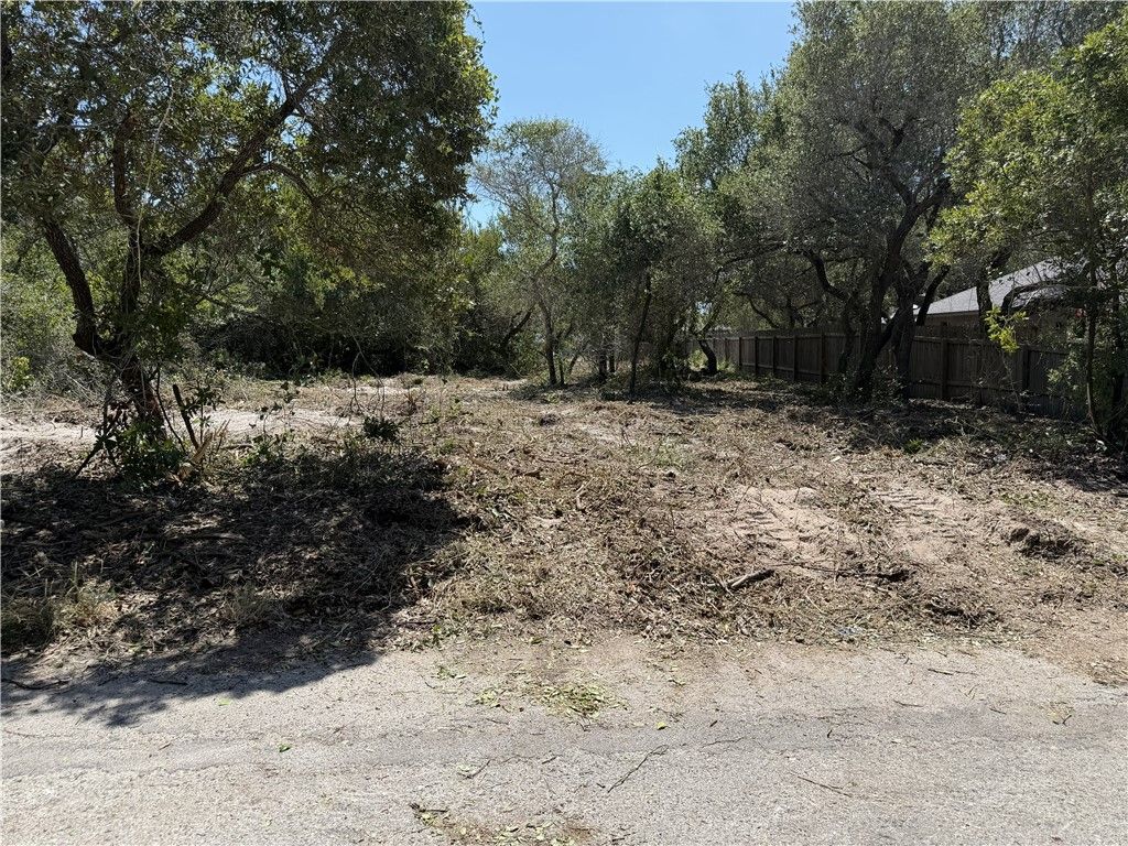 Lot 2 S 12th St, Aransas Pass, TX 78336 — photo 2