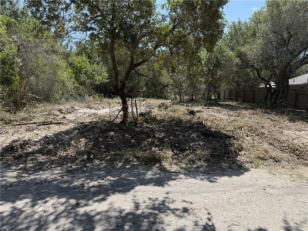 Lot 2 S 12th St, Aransas Pass, TX 78336 — photo 4