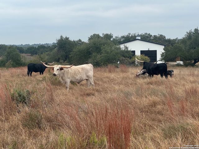 690 Windmill Ridge, Blanco, TX 78606