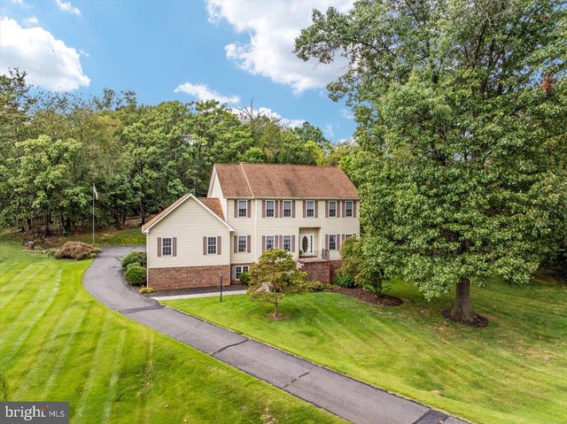 155 BUNCHBERRY RIDGE CT, Stephens City, VA 22655