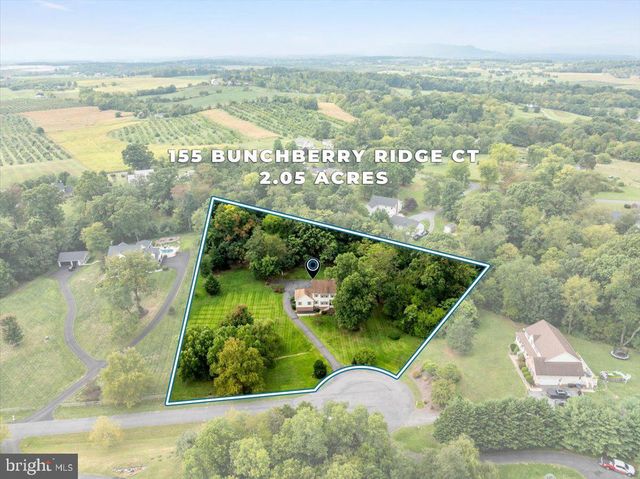 155 BUNCHBERRY RIDGE CT, Stephens City, VA 22655